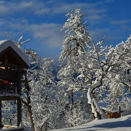 Bognerhof Daire Sankt Veit im Pongau