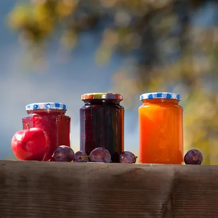 Апартаменты Bognerhof Санкт-Файт (Понгау)