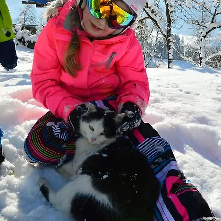 Bognerhof Апартаменты *