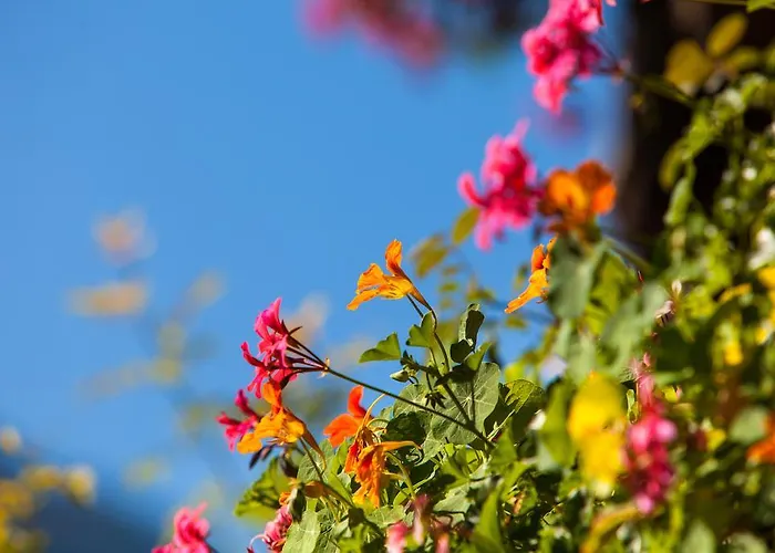博格纳霍夫公寓 * 蓬高地区圣法伊特