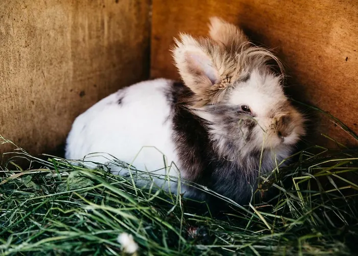 公寓 博格纳霍夫公寓